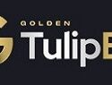 Tulipbet Giriş